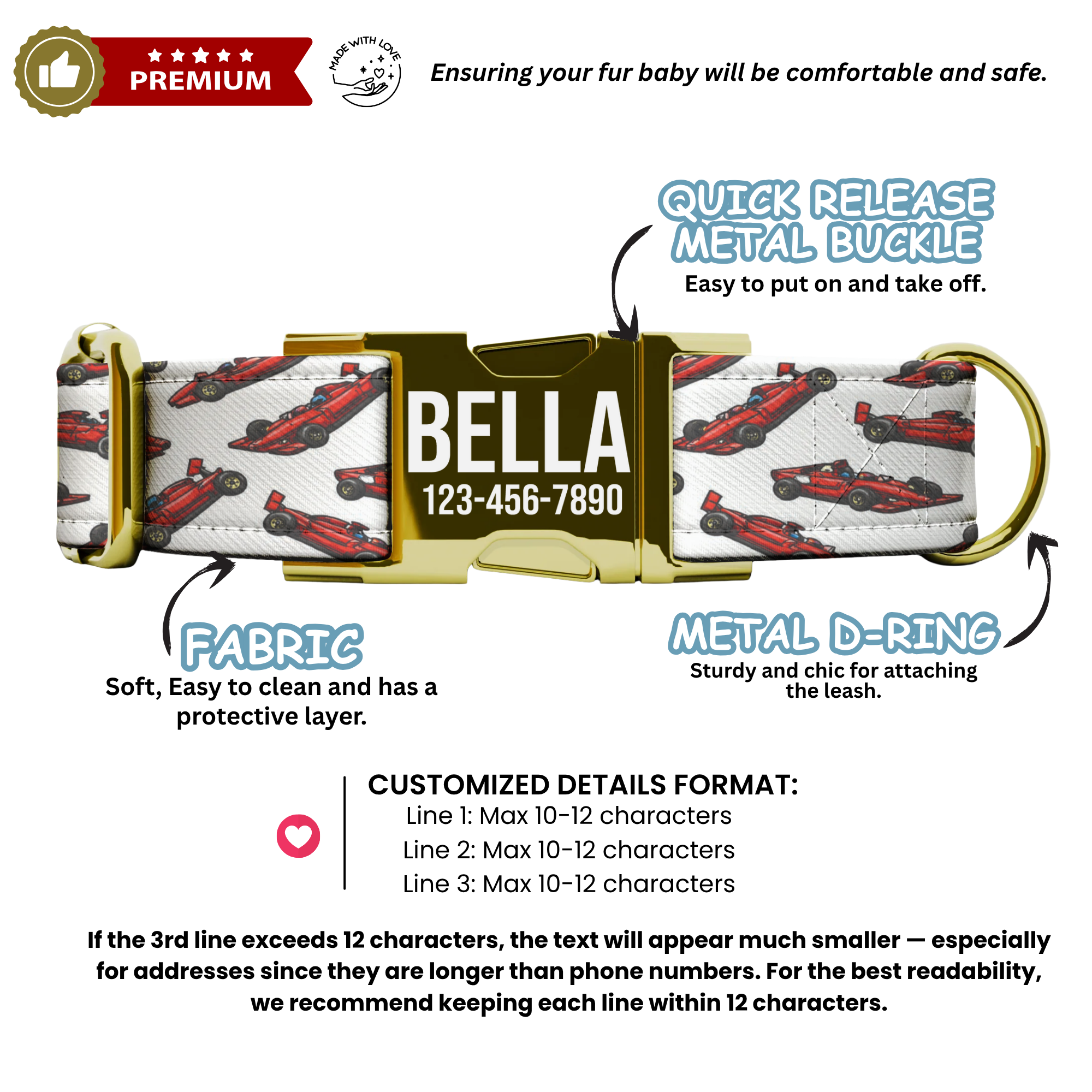 Race Car Formula Style Personalized Dog Collar & Leash Set