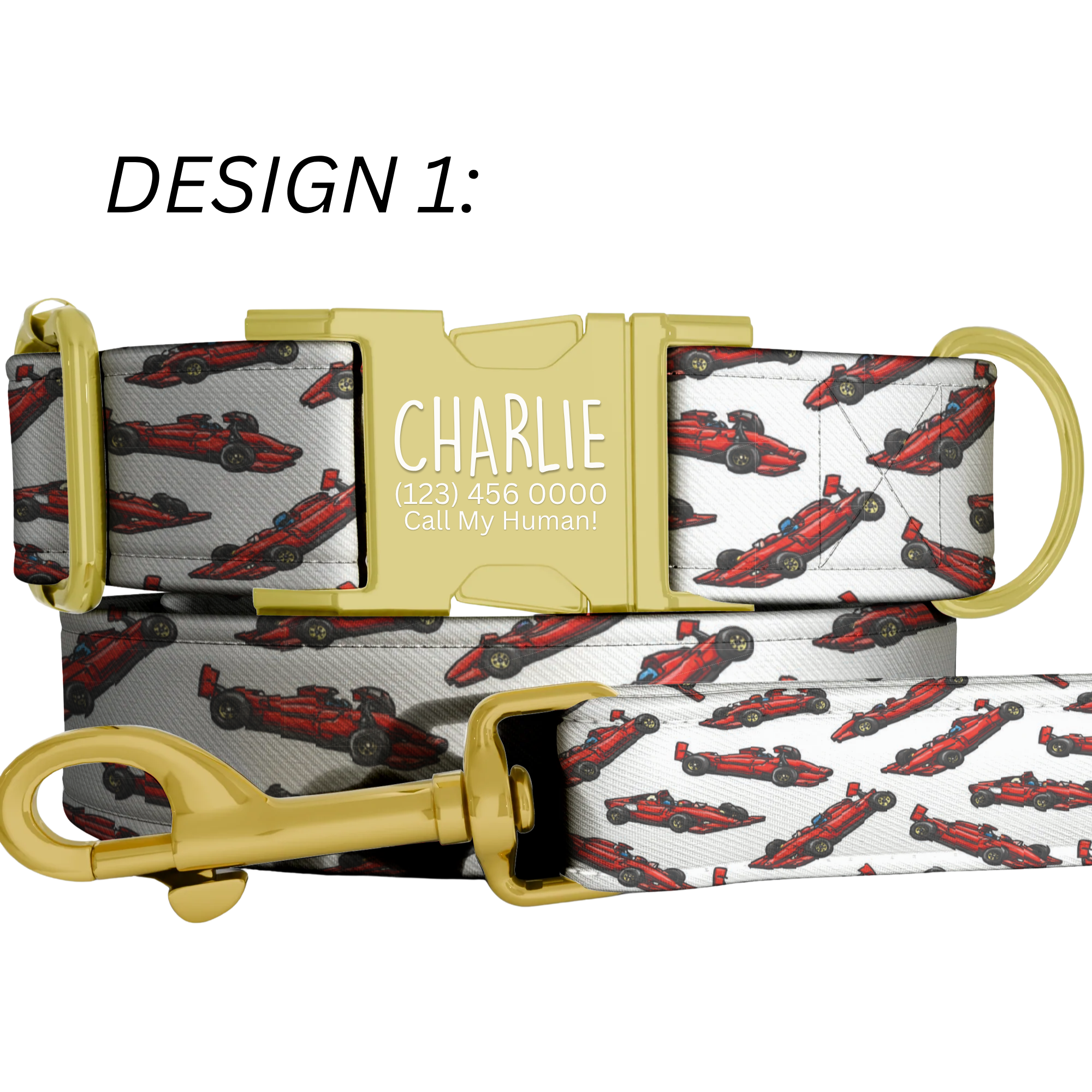 Race Car Formula Style Personalized Dog Collar & Leash Set