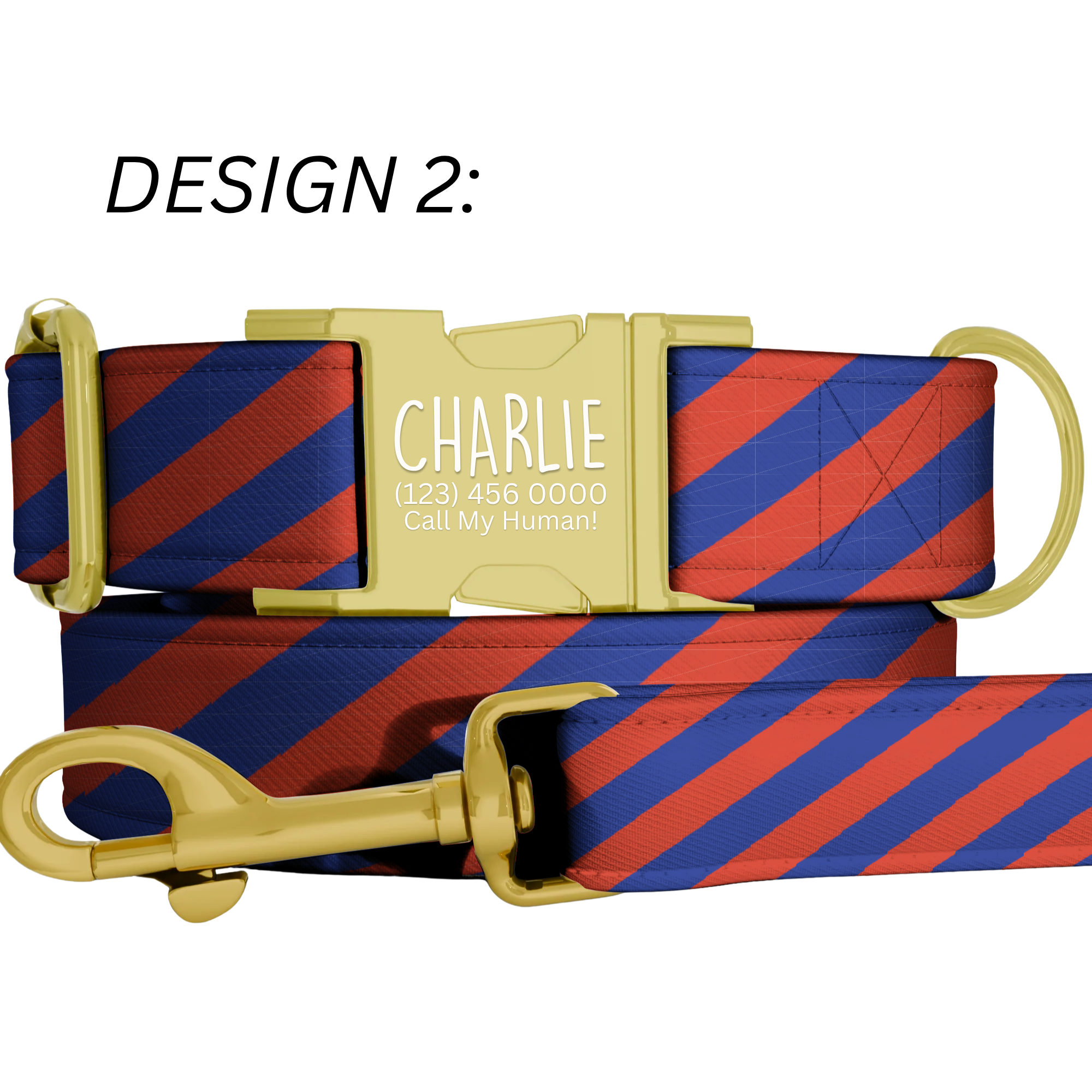 Game Day Personalized Dog Collar Alligator Football Custom Sports Season Pet Tag