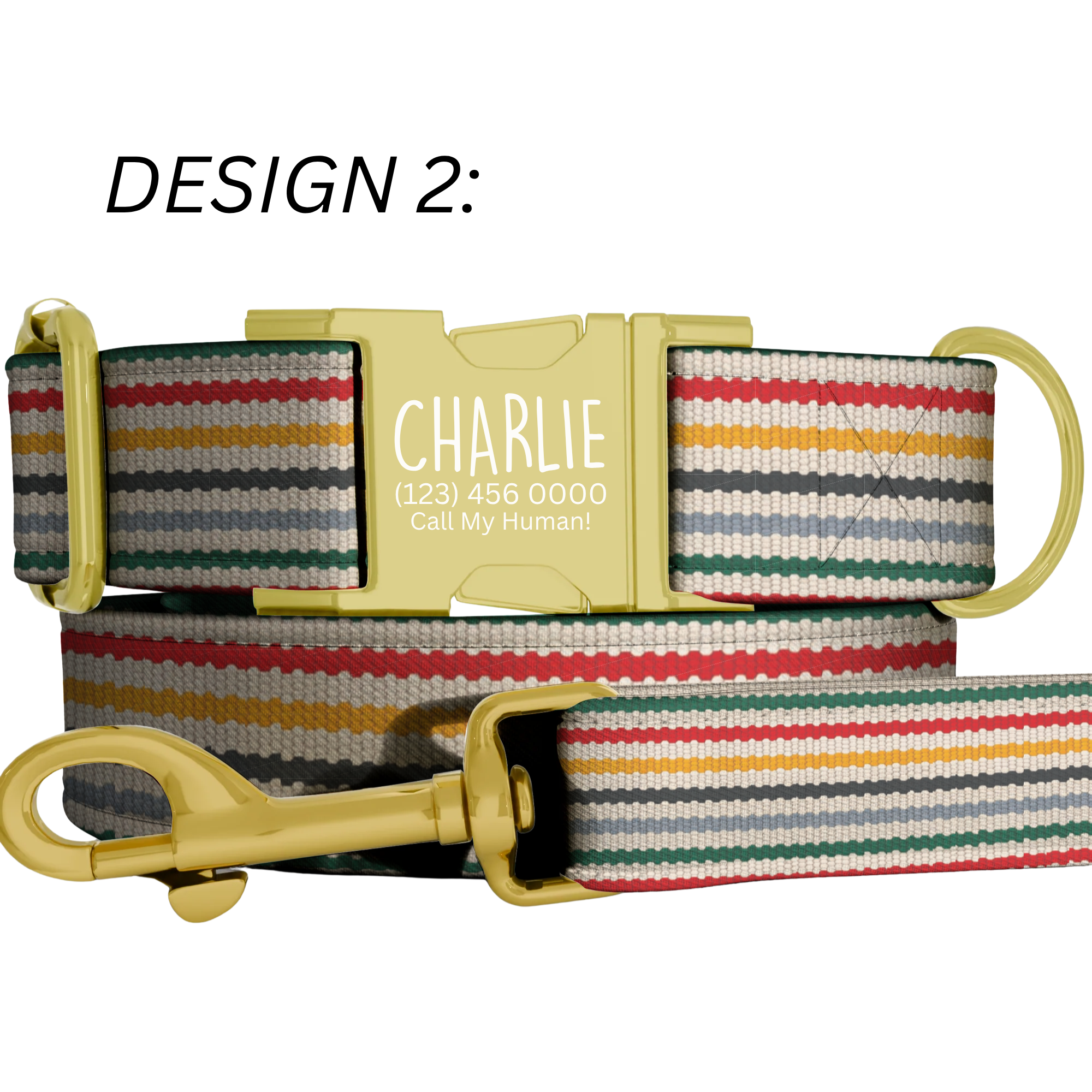 Striped Pattern Personalized Dog Collars & Leash Set