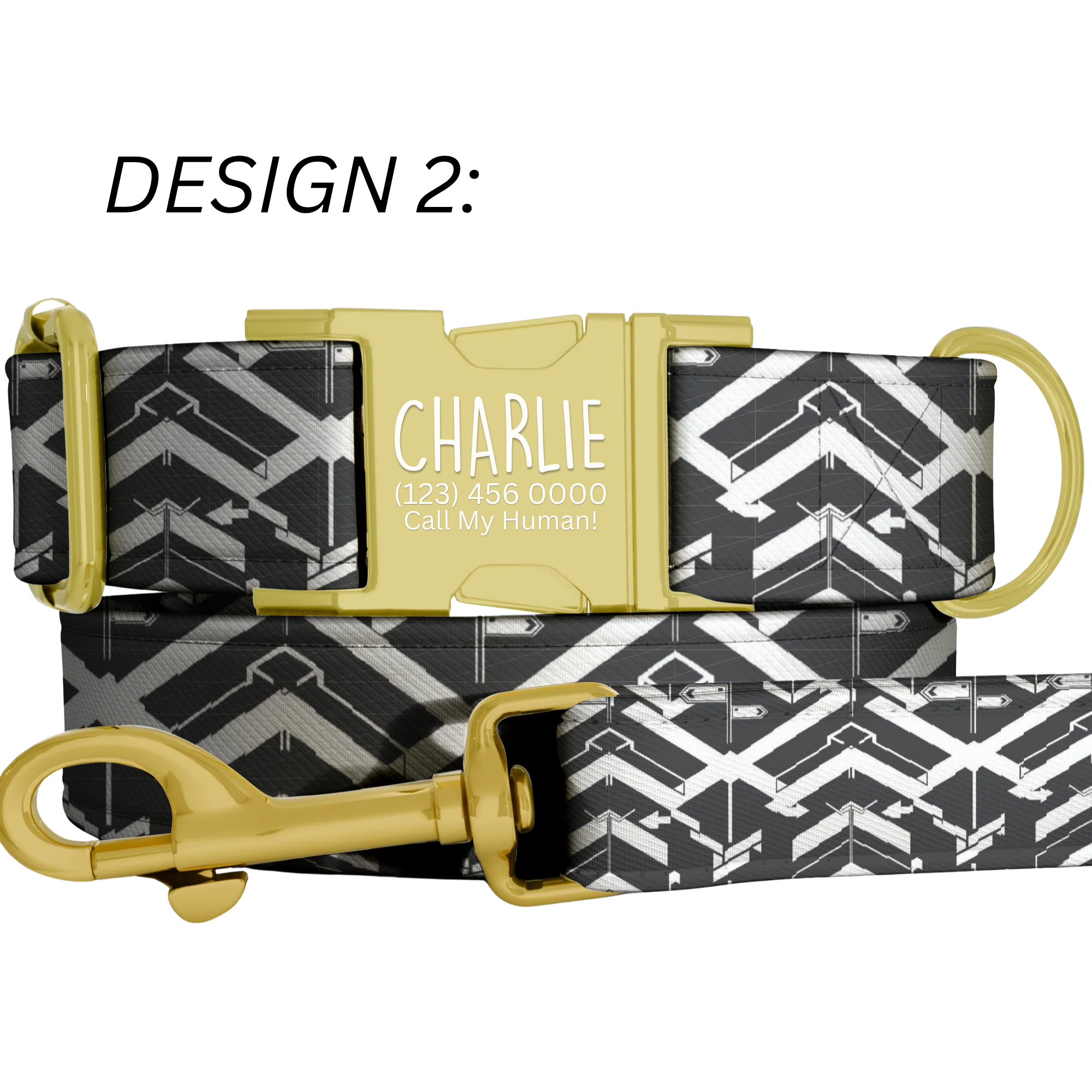 Race Car Formula Style Personalized Dog Collar & Leash Set
