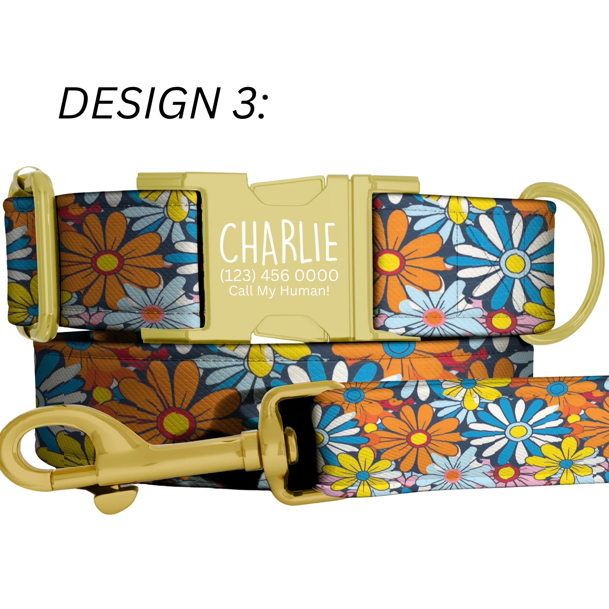Custom Daisy Dog Collar Personalized Bright Floral Summer Puppy Collar Leash Set