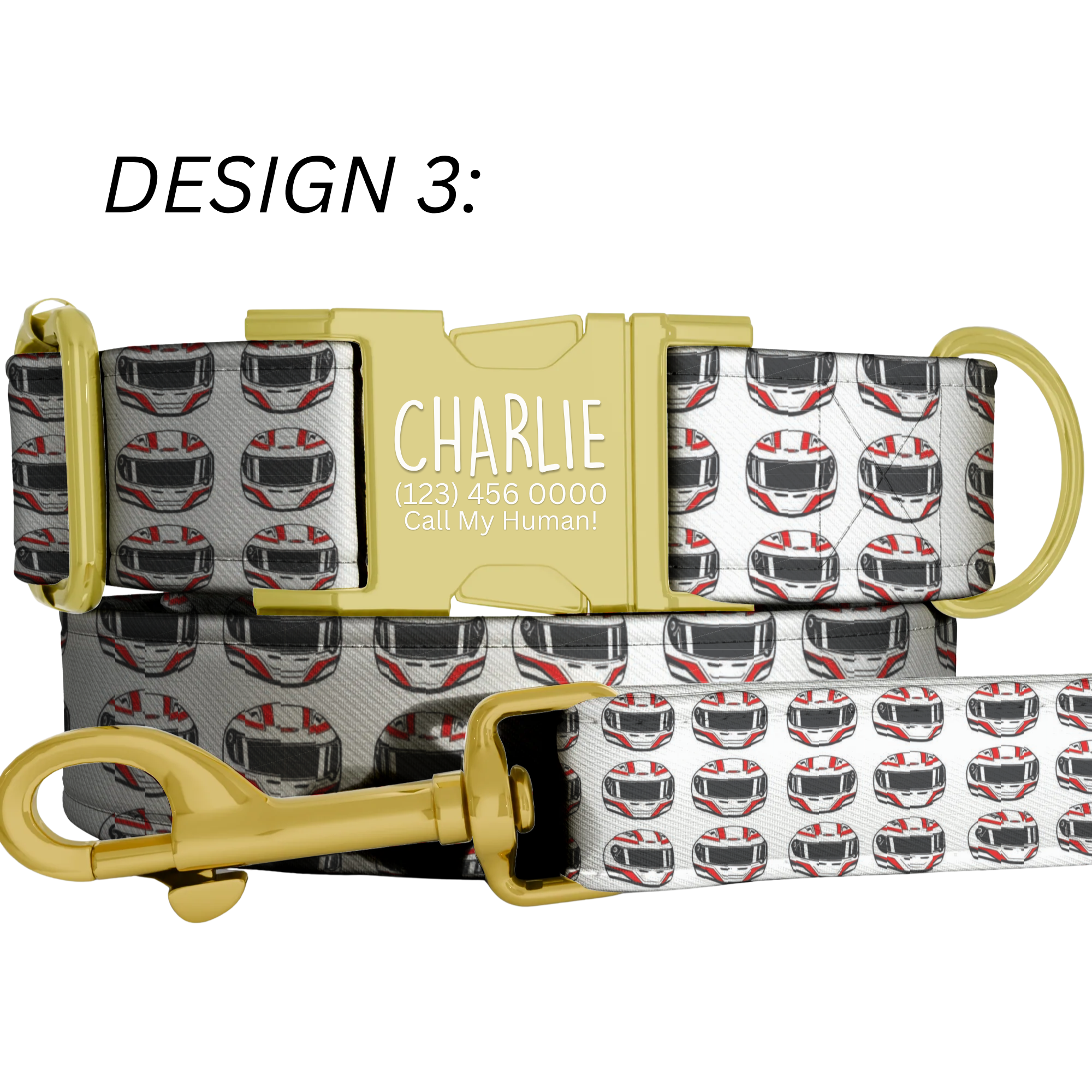 Race Car Formula Style Personalized Dog Collar & Leash Set