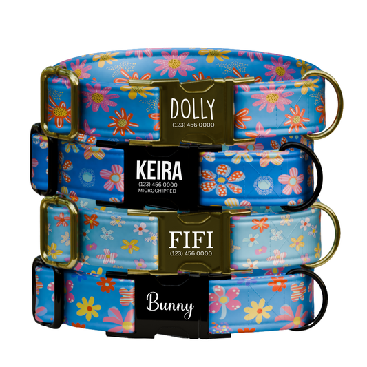 Blue Bloom Garden Dog Collar & Leash Set