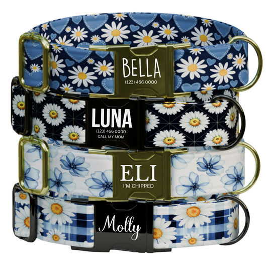 Daisy Dreams Personalized Dog Collar & Leash Set Custom Blue Floral Puppy Collar
