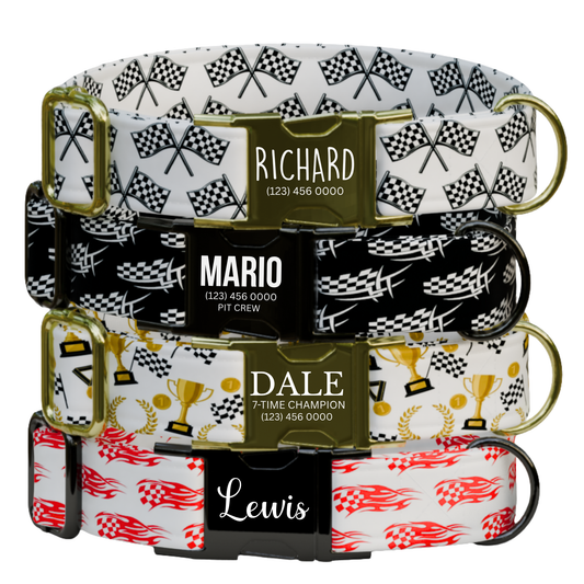 The Polished Dog Speedway Series - Checkered Flag & Trophy Edition Custom Racing Dog Collar
