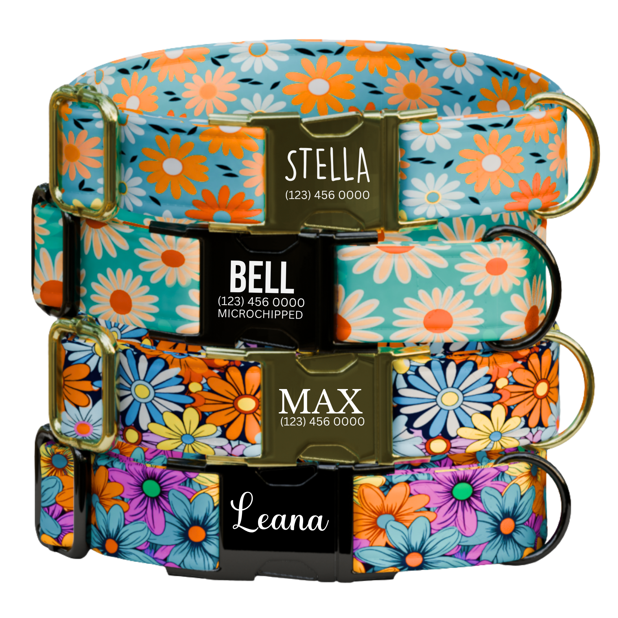 Custom Daisy Dog Collar Personalized Bright Floral Summer Puppy Collar Leash Set