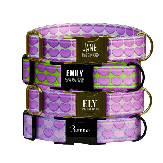 Valentine Heart Dog Collar Personalized Collar & Leash Set