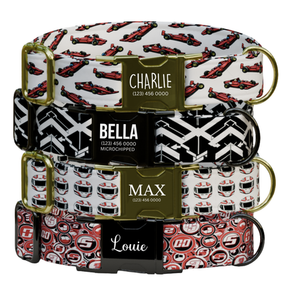 Racing Car Personalized Dog Collar & Leash Set Formula Style Boy Pet Collar (OG-506)
