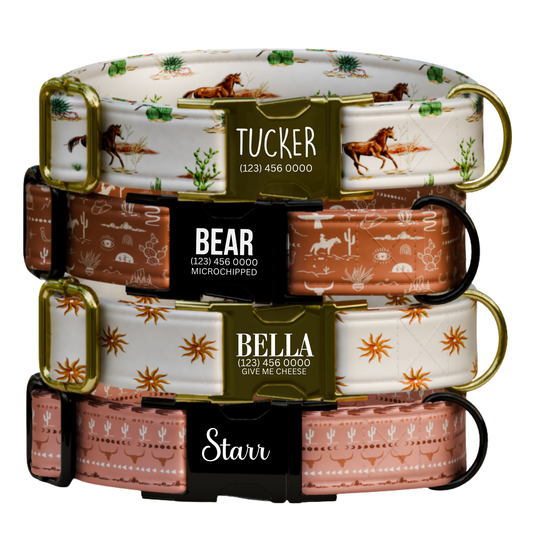 Personalized Western Dog Collar & Matching Leash Set (OG-246)