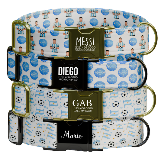 Custom Argentina Soccer Dog Collar Personalized Engraved Name FIFA World Cup Dog Collar Soccer Fan Sport Dog Accessory Gift (OG-640)