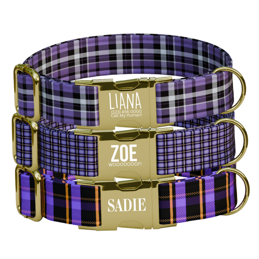 Personalized Purple Plaid Gingham Dog Collar & Leash Set (OG-36)