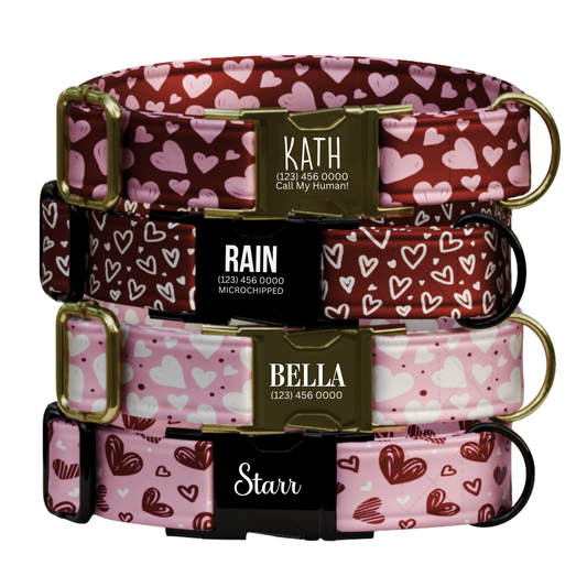 Valentines Sweetheart Personalized Dog Collar & Leash Set (OG-390)