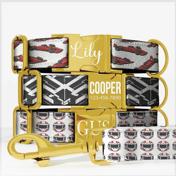Race Car Formula Style Personalized Dog Collar & Leash Set