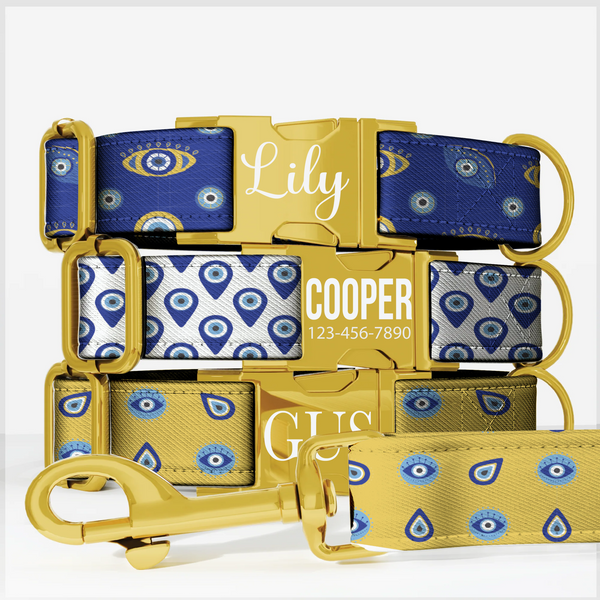 Evil Eye Personalized Dog Collar & Leash Set