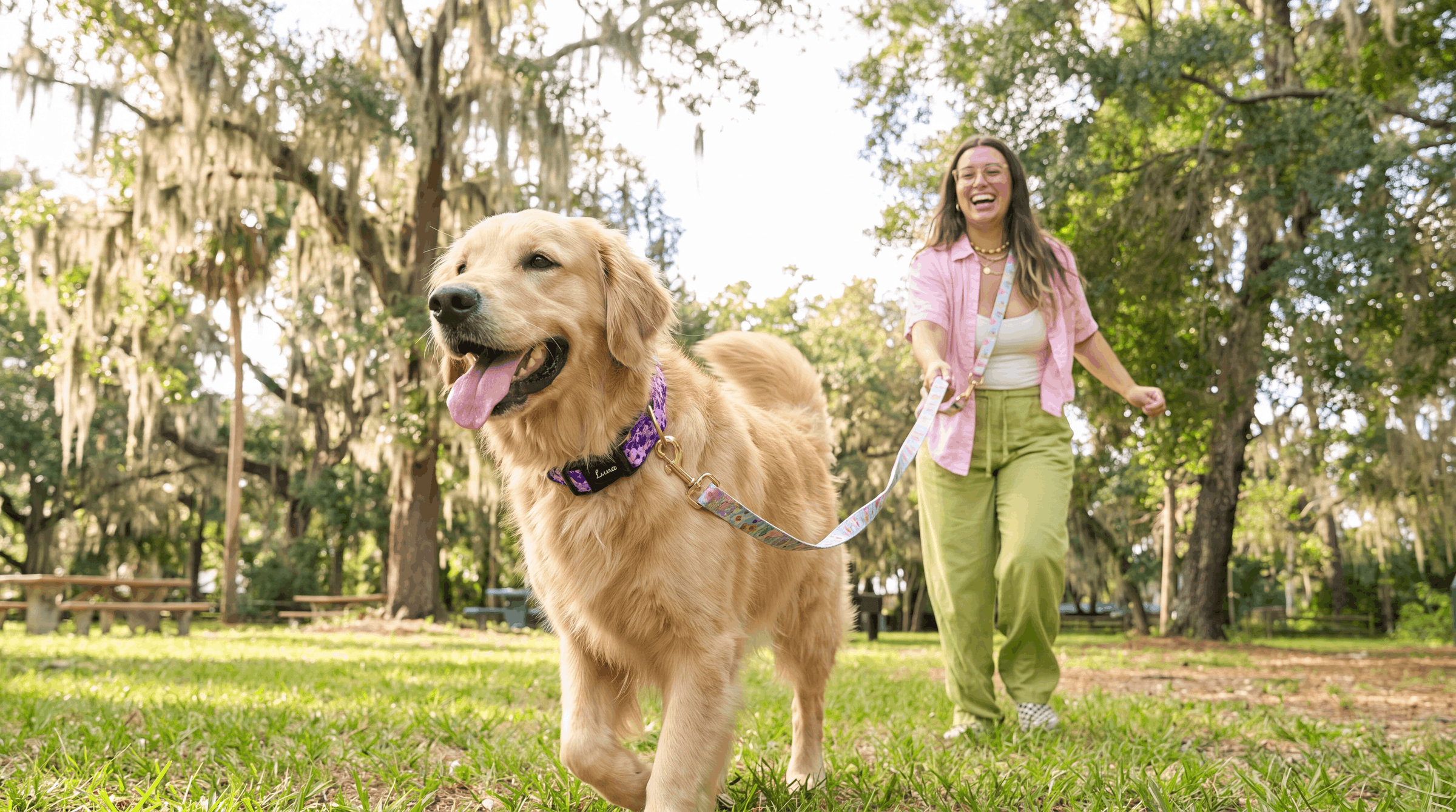 Golden retriever wearing a personalized engraved collar, running ahead of its laughing owner in a sunlit park