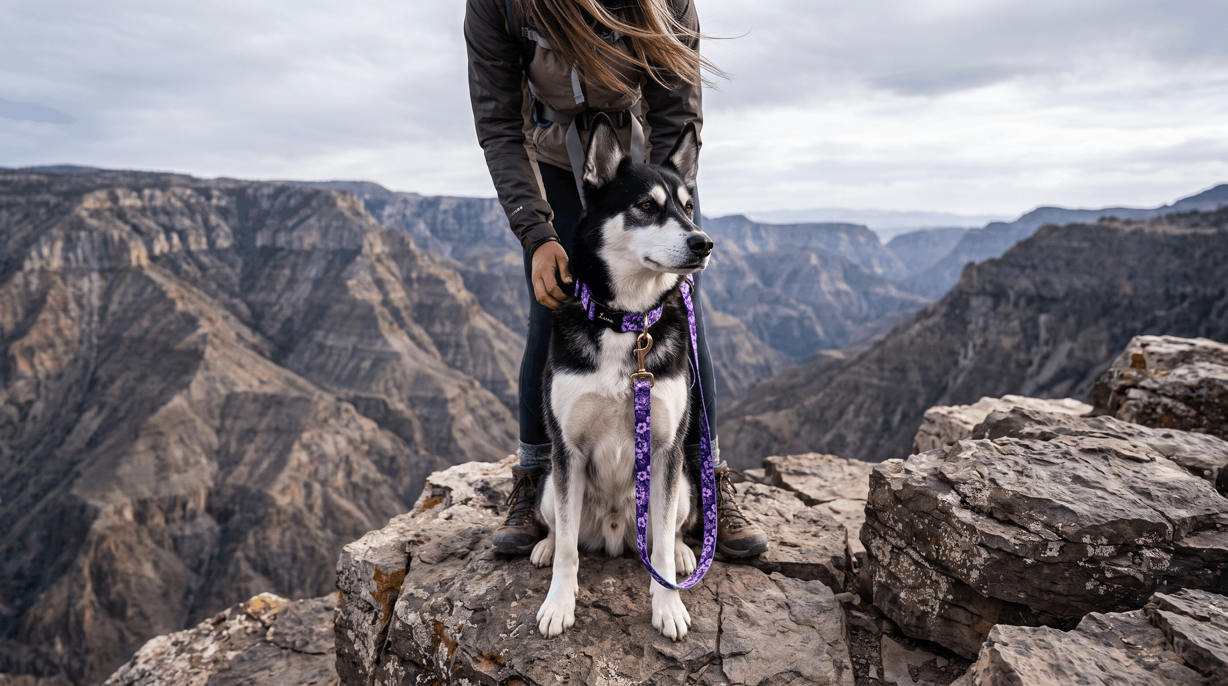 Husky wearing a personalized engraved collar, standing with its owner in front of a waterfall