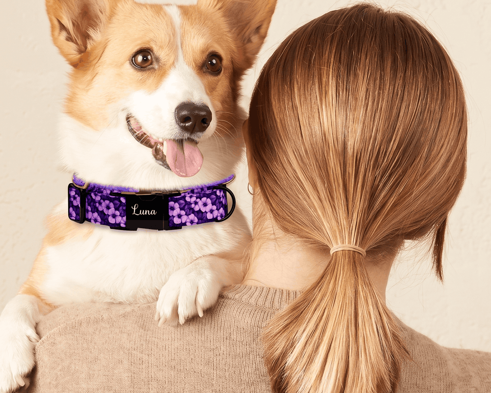 Purple floral collar with an engraved nameplate on a corgi