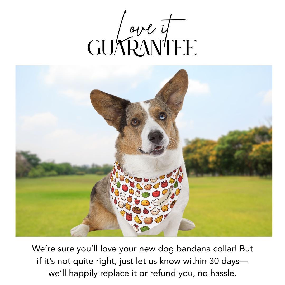 Personalized Thanksgiving Pet Bandana Collar Cute Autumn Design Dog & Cat Bandana with Built-In Adjustable Collar Custom Name Pet Accessory