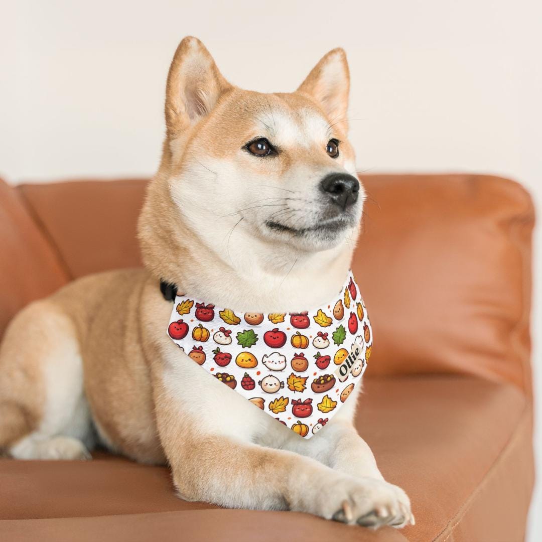 Personalized Thanksgiving Pet Bandana Collar Cute Autumn Design Dog & Cat Bandana with Built-In Adjustable Collar Custom Name Pet Accessory