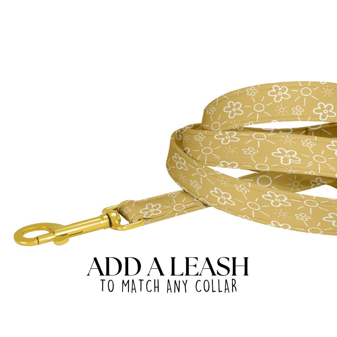 5-Feet 60 inches Matching Dog Leash Printed Leash for Dog Cute Patterns Add-On Stylish Accessory for Matching Collar Leash Only (OG 72-87)
