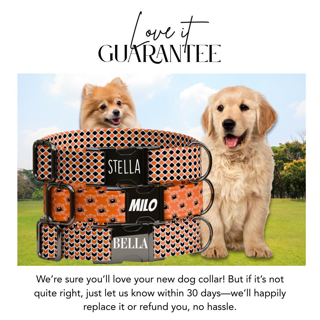 Personalized Spooky-cute Halloween Dog Collar with Name Engraved Cute and Soft Adjustable Collar & Leash Set, Pet ID Tag Dog Gift (OG-134)