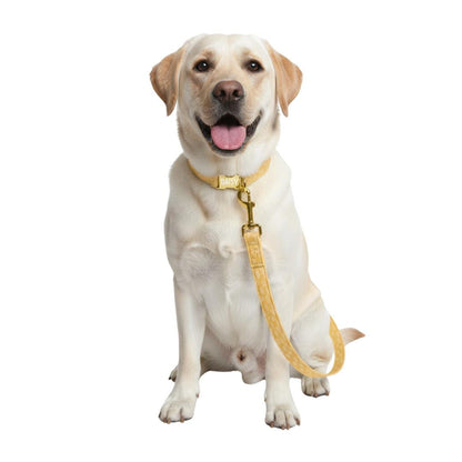 5-Feet 60 inches Matching Dog Leash Printed Leash for Dog Cute Patterns Add-On Stylish Accessory for Matching Collar Leash Only (OG 72-87)