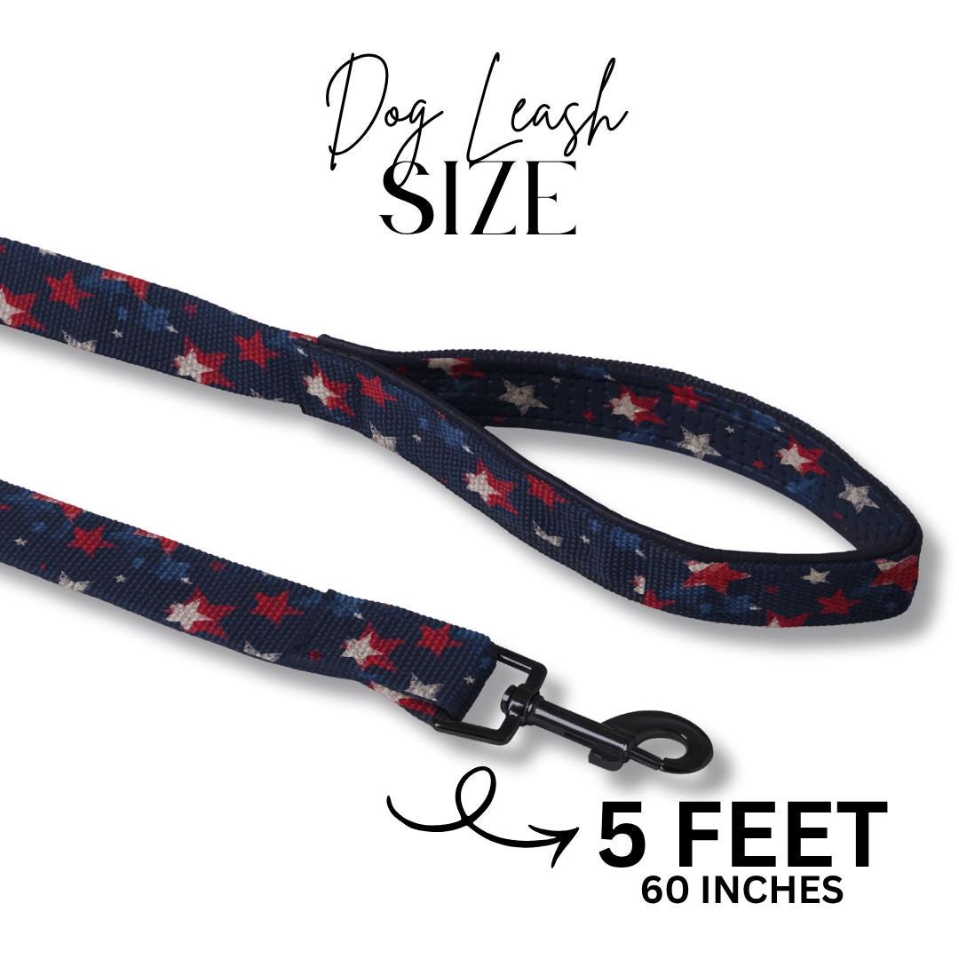 5-Feet 60 inches Matching Dog Leash Printed Leash for Dog Cute Patterns Add-On Stylish Accessory for Matching Collar Leash Only (OG 72-87)
