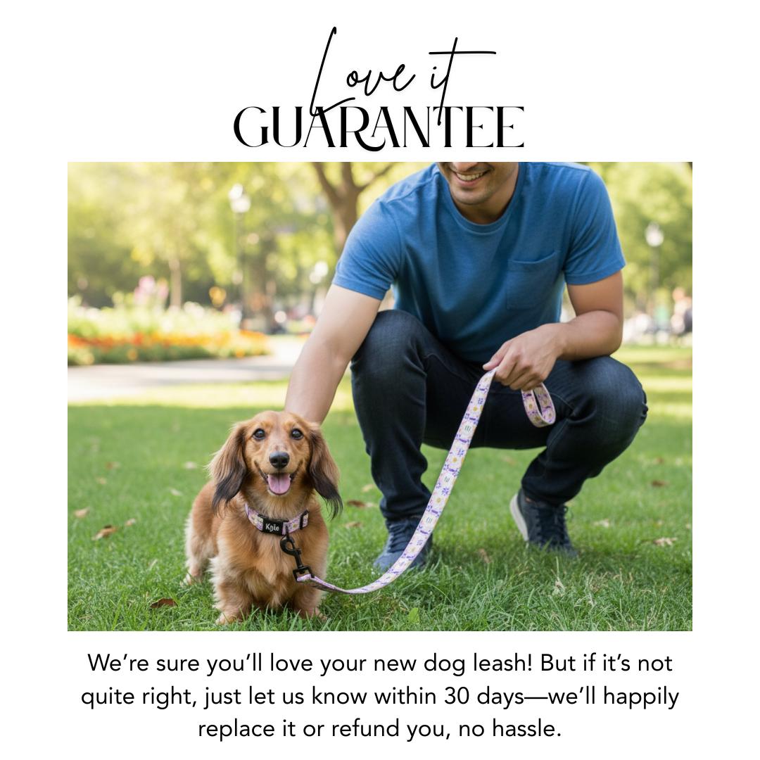 5-Feet 60 inches Matching Dog Leash Printed Leash for Dog Cute Patterns Add-On Stylish Accessory for Matching Collar Leash Only (OG 72-87)