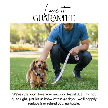 5-Feet 60 inches Matching Dog Leash Printed Leash for Dog Cute Patterns Add-On Stylish Accessory for Matching Collar Leash Only (OG 72-87)