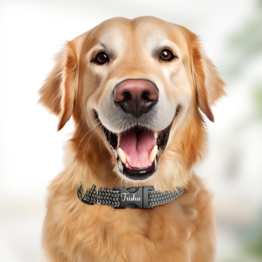 Black and Cream Chic Personalized Dog Collar Modern Chevron Plaids, Custom Name & Number (OG-358)