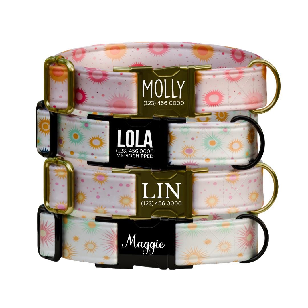Personalized Pastel Sunburst Dog Collar Custom Name Collar with Gold or Black Buckle (OG-360)