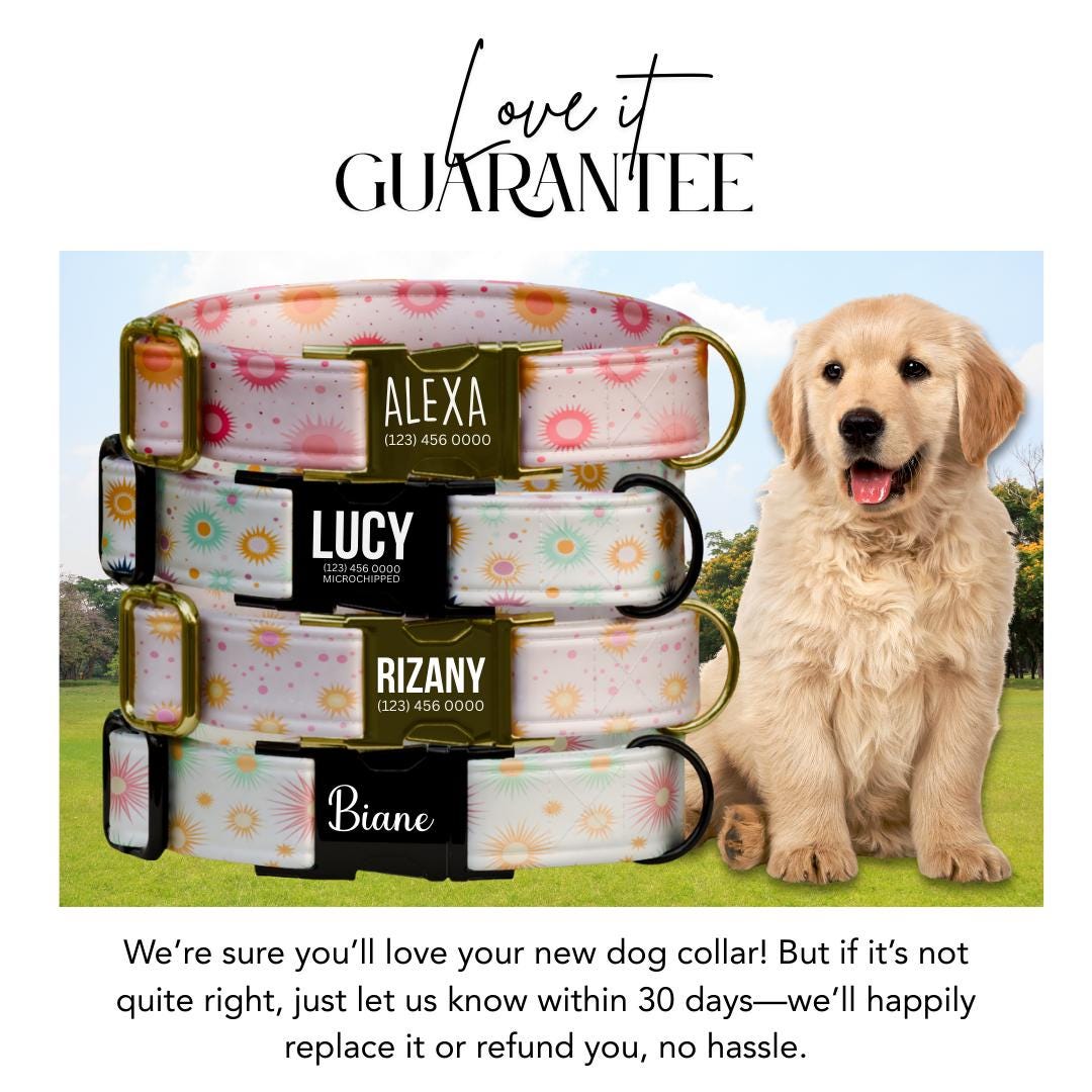 Personalized Pastel Sunburst Dog Collar Custom Name Collar with Gold or Black Buckle (OG-360)