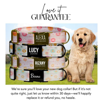Personalized Pastel Sunburst Dog Collar Custom Name Collar with Gold or Black Buckle (OG-360)