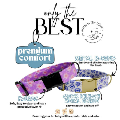 Personalized Retro Sunburst Dog Collar Bold & Bright Custom Name Collar with Metal Buckle (OG-361)