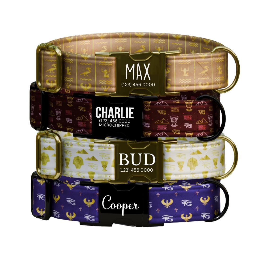 Egyptian Charm Personalized Dog Collar Gold Accents, Regal Patterns & Custom Name Buckle (OG-362)