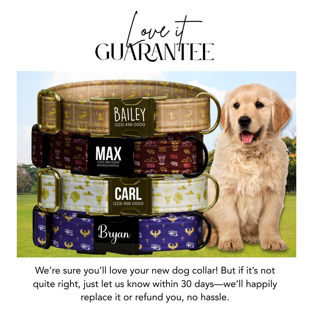 Egyptian Charm Personalized Dog Collar Gold Accents, Regal Patterns & Custom Name Buckle (OG-362)