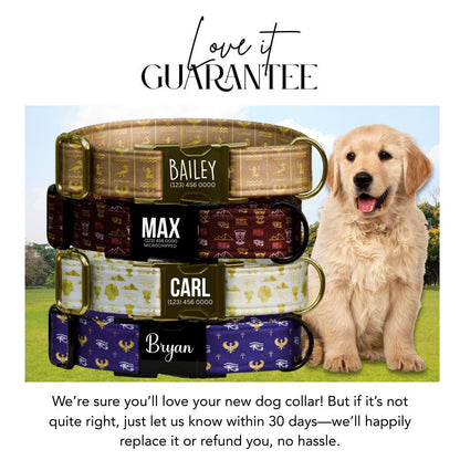 Egyptian Charm Personalized Dog Collar Gold Accents, Regal Patterns & Custom Name Buckle (OG-362)