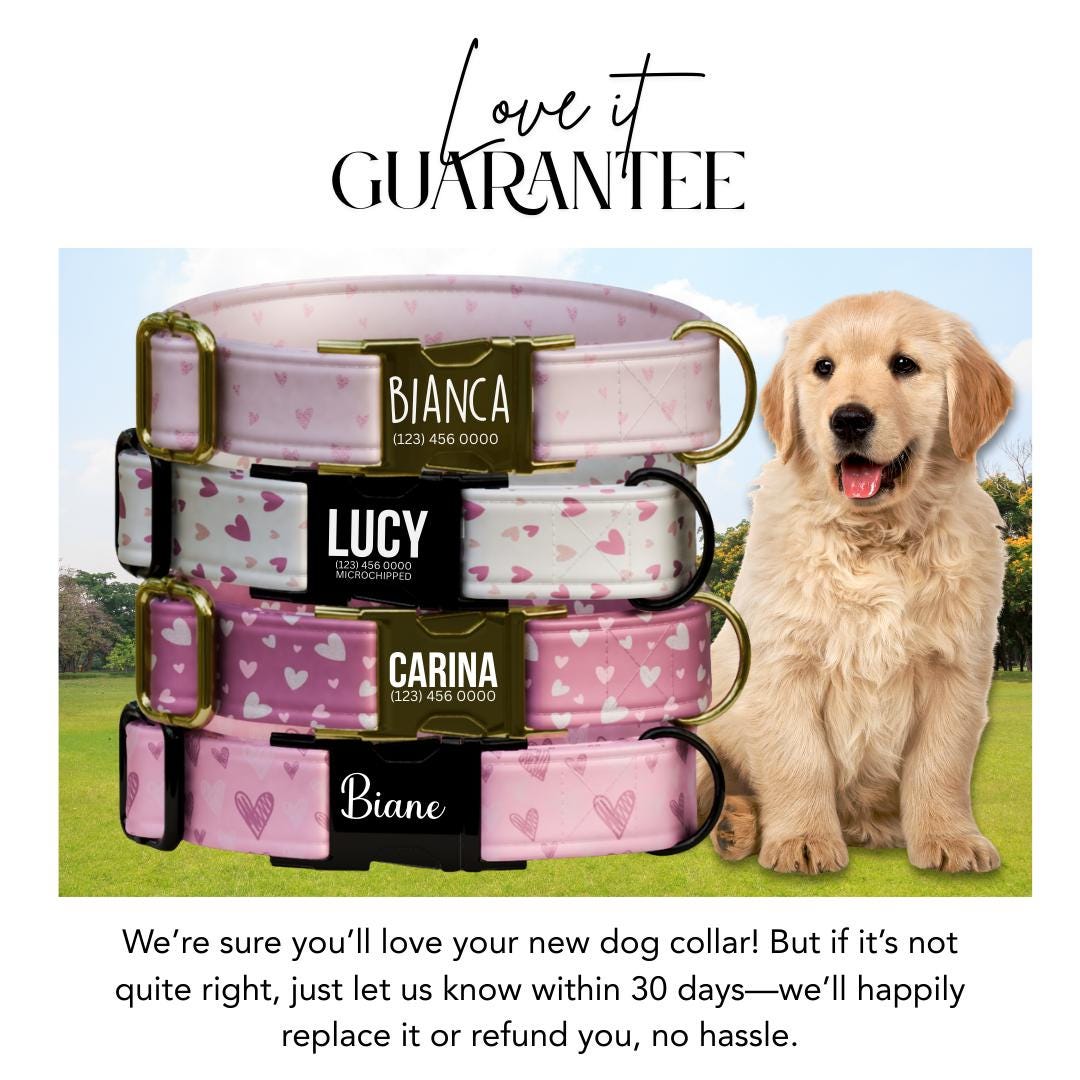 Personalized Valentine Dog Collar: Blush Hearts, Custom Metal Buckle (OG-391)
