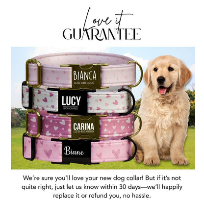 Personalized Valentine Dog Collar: Blush Hearts, Custom Metal Buckle (OG-391)