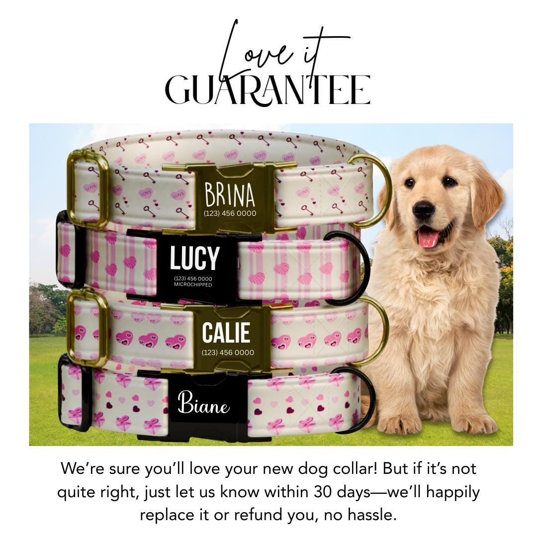 Personalized Valentine Dog Collar, Pink Hearts, Love Keys, Custom Pet Name (OG-393)