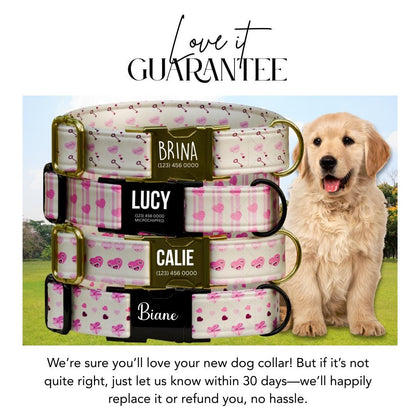 Personalized Valentine Dog Collar, Pink Hearts, Love Keys, Custom Pet Name (OG-393)