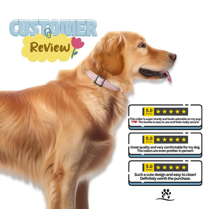 Valentine Dog Collar with Heart and Teddy Bear Designs, Custom Name & Phone Number (OG-395)