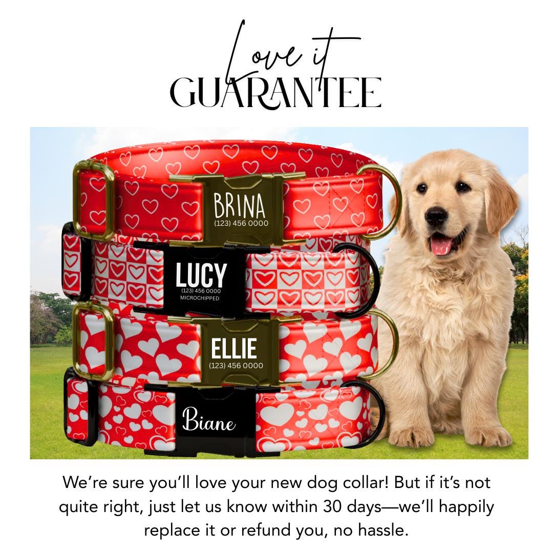 Red Hearts Personalized Dog Collar Valentine Love Print Custom Name & Numbe Metal Buckle (OG-401)
