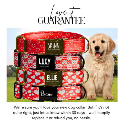 Red Hearts Personalized Dog Collar Valentine Love Print Custom Name & Numbe Metal Buckle (OG-401)