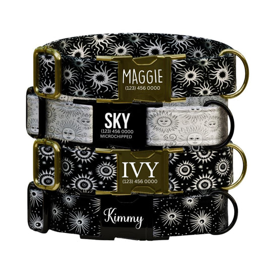 Celestial Dog Collar, Sun and Star Print, Personalized Pet Collar (OG-359)