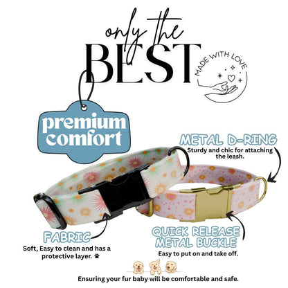 Personalized Pastel Sunburst Dog Collar Custom Name Collar with Gold or Black Buckle (OG-360)