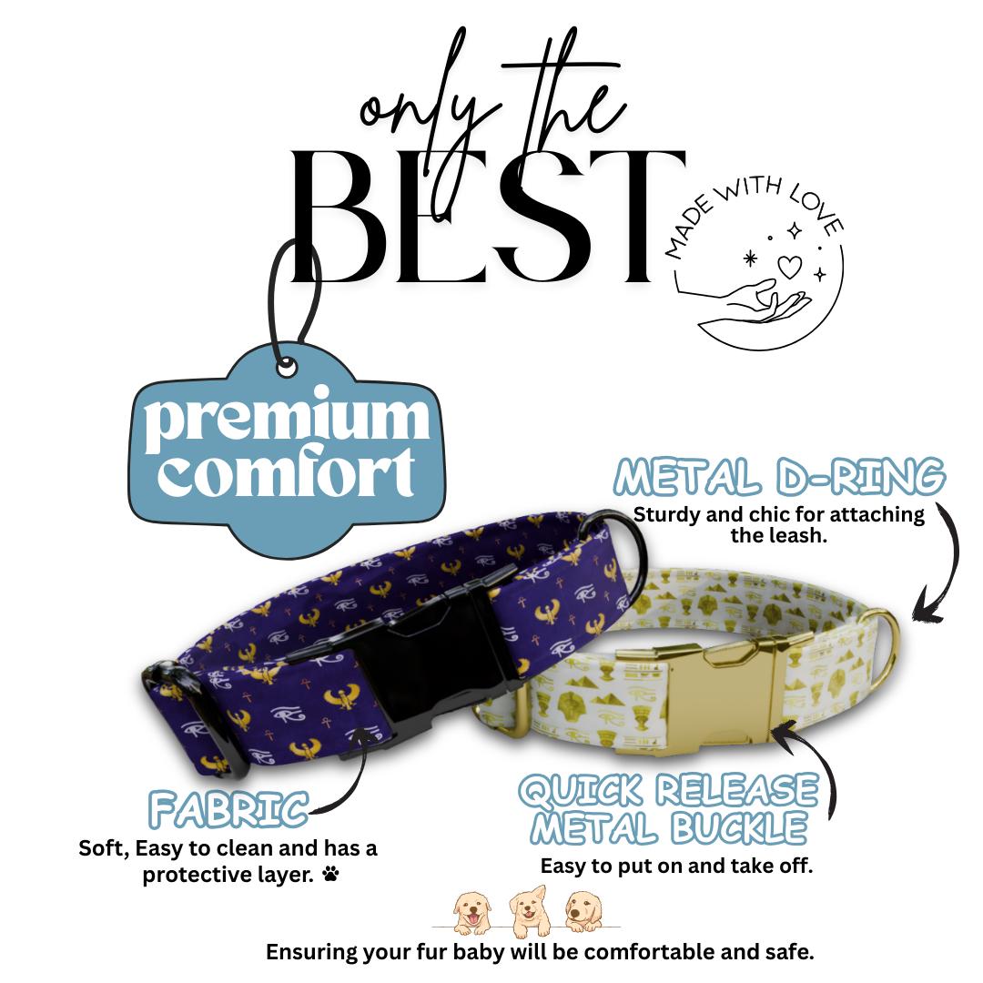 Egyptian Charm Personalized Dog Collar Gold Accents, Regal Patterns & Custom Name Buckle (OG-362)