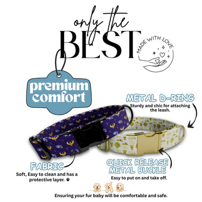 Egyptian Charm Personalized Dog Collar Gold Accents, Regal Patterns & Custom Name Buckle (OG-362)