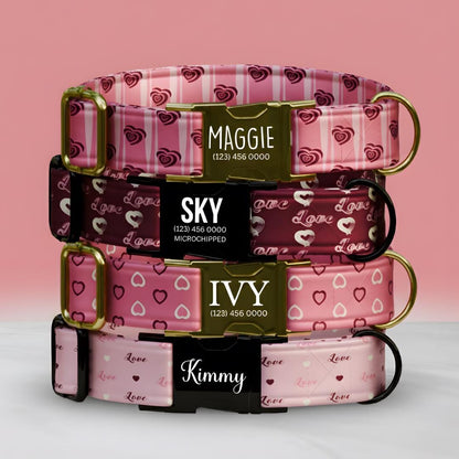 Valentine Hearts Dog Collar  Custom Love-Themed Puppy Collar with Name & Phone Number (OG-394)
